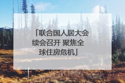 联合国人居大会续会召开 聚焦全球住房危机