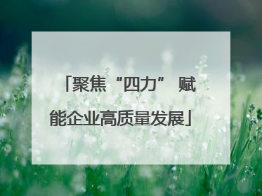 聚焦“四力” 赋能企业高质量发展