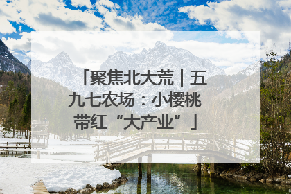 聚焦北大荒｜五九七农场：小樱桃带红“大产业”