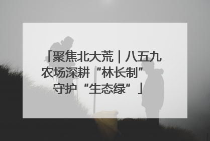 聚焦北大荒｜八五九农场深耕“林长制” 守护“生态绿”