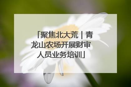 聚焦北大荒｜青龙山农场开展财审人员业务培训
