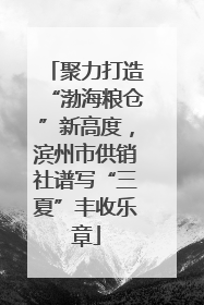 聚力打造“渤海粮仓”新高度，滨州市供销社谱写“三夏”丰收乐章