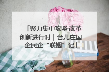 聚力集中攻坚·改革创新进行时｜台儿庄国企民企“联姻”记