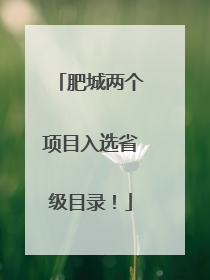 肥城两个项目入选省级目录！