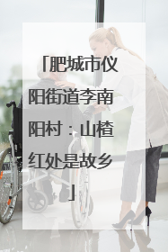 肥城市仪阳街道李南阳村：山楂红处是故乡