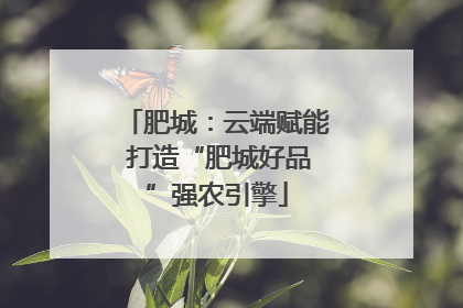 肥城：云端赋能 打造“肥城好品”强农引擎