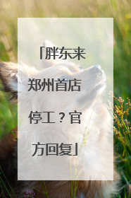 胖东来郑州首店停工？官方回复