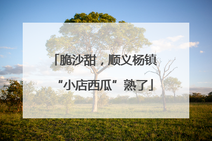 脆沙甜，顺义杨镇“小店西瓜”熟了