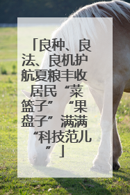良种、良法、良机护航夏粮丰收 居民“菜篮子”“果盘子”满满“科技范儿”