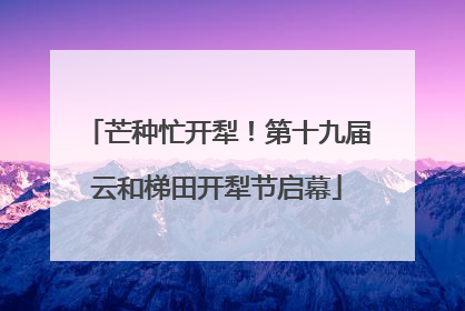 芒种忙开犁！第十九届云和梯田开犁节启幕