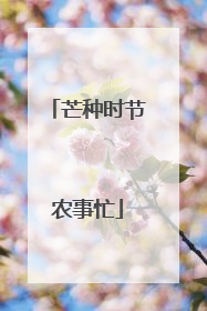 芒种时节农事忙