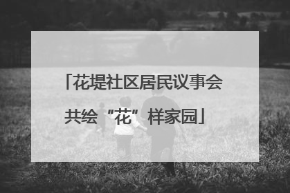 花堤社区居民议事会共绘“花”样家园