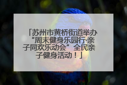 苏州市黄桥街道举办“周末健身乐园行·亲子同欢乐动会”全民亲子健身活动！