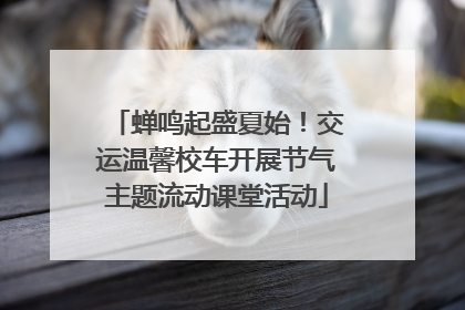 蝉鸣起盛夏始！交运温馨校车开展节气主题流动课堂活动