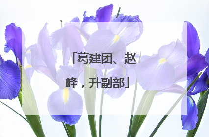 葛建团、赵峰，升副部