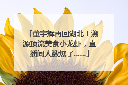 董宇辉再回湖北！溯源顶流美食小龙虾，直播间人数爆了……