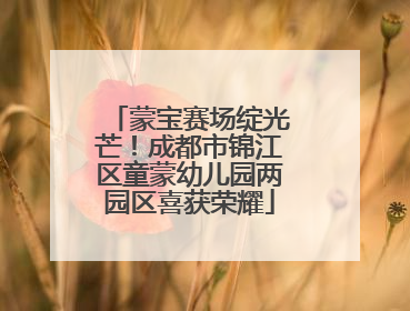 蒙宝赛场绽光芒！成都市锦江区童蒙幼儿园两园区喜获荣耀