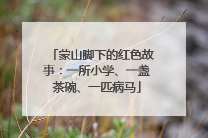 蒙山脚下的红色故事：一所小学、一盏茶碗、一匹病马