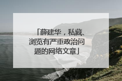 薛建华，私藏、浏览有严重政治问题的网络文章