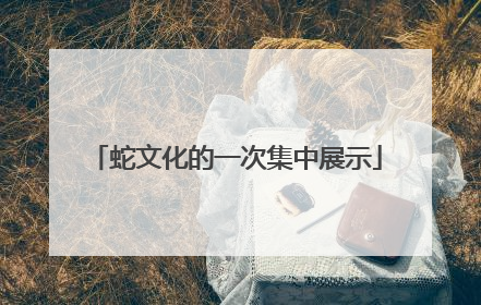 蛇文化的一次集中展示