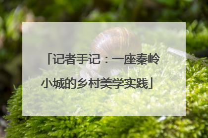 记者手记：一座秦岭小城的乡村美学实践