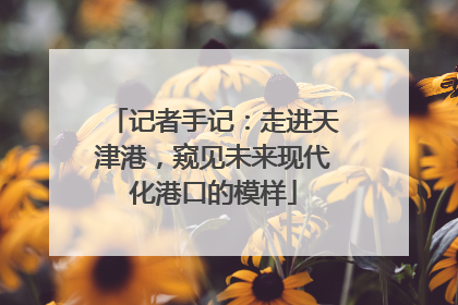 记者手记：走进天津港，窥见未来现代化港口的模样