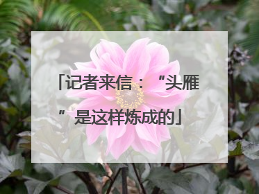 记者来信：“头雁”是这样炼成的