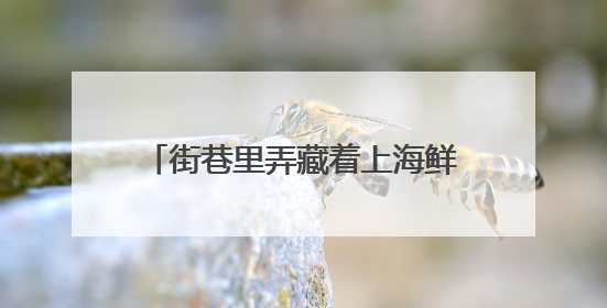 街巷里弄藏着上海鲜活的气息！徐家汇街道璀璨生活节启幕
