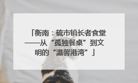 衡南：硫市镇长者食堂——从“孤独餐桌”到文明的“温馨港湾”