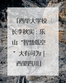 西华大学校长李秋实：乐山“智慧低空”大有可为｜西望四川