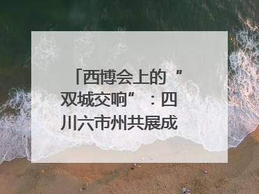 西博会上的“双城交响”：四川六市州共展成渝协同发展画卷｜西博视界