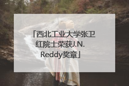 西北工业大学张卫红院士荣获J.N.Reddy奖章