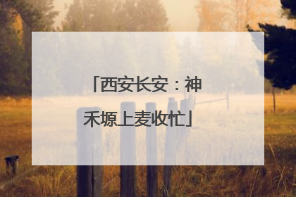 西安长安：神禾塬上麦收忙