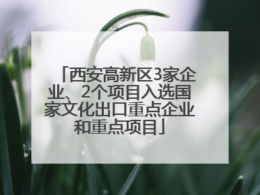 西安高新区3家企业、2个项目入选国家文化出口重点企业和重点项目