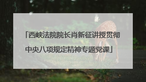 西峡法院院长肖新征讲授贯彻中央八项规定精神专题党课