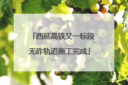 西延高铁又一标段无砟轨道施工完成