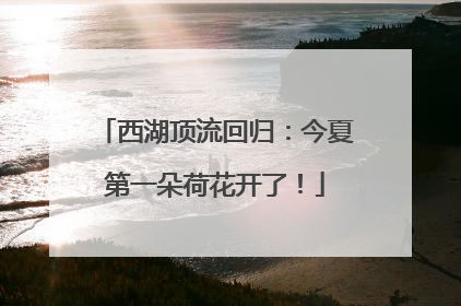 西湖顶流回归：今夏第一朵荷花开了！