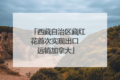 西藏自治区藏红花首次实现出口 远销加拿大