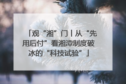观“湘”门丨从“先用后付”看湘潭制度破冰的“科技试验”