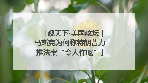 观天下·美国政坛｜马斯克为何称特朗普力推法案“令人作呕”