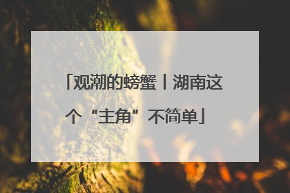 观潮的螃蟹丨湖南这个“主角”不简单