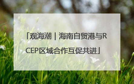 观海潮｜海南自贸港与RCEP区域合作互促共进