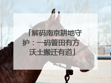 解码南京耕地守护：一码管田有方 沃土搬迁有道