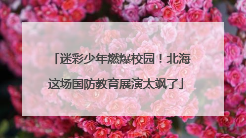 迷彩少年燃爆校园！北海这场国防教育展演太飒了