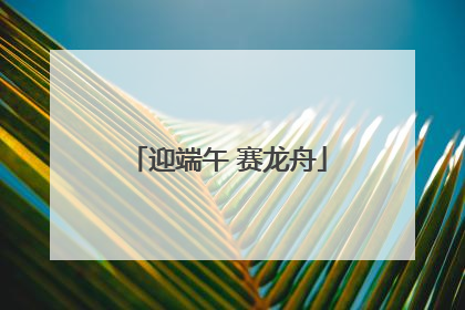 迎端午 赛龙舟