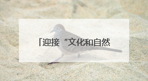 迎接“文化和自然遗产日” 郑州经济技术开发区肖庄小学有“节目”