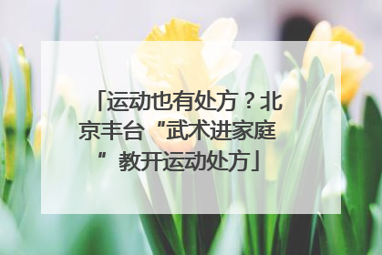 运动也有处方？北京丰台“武术进家庭”教开运动处方