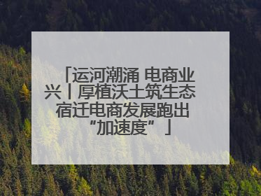 运河潮涌 电商业兴丨厚植沃土筑生态 宿迁电商发展跑出“加速度”