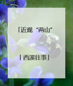 近观“两山”丨西溪往事