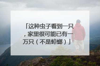 这种虫子看到一只，家里很可能已有一万只（不是蟑螂）